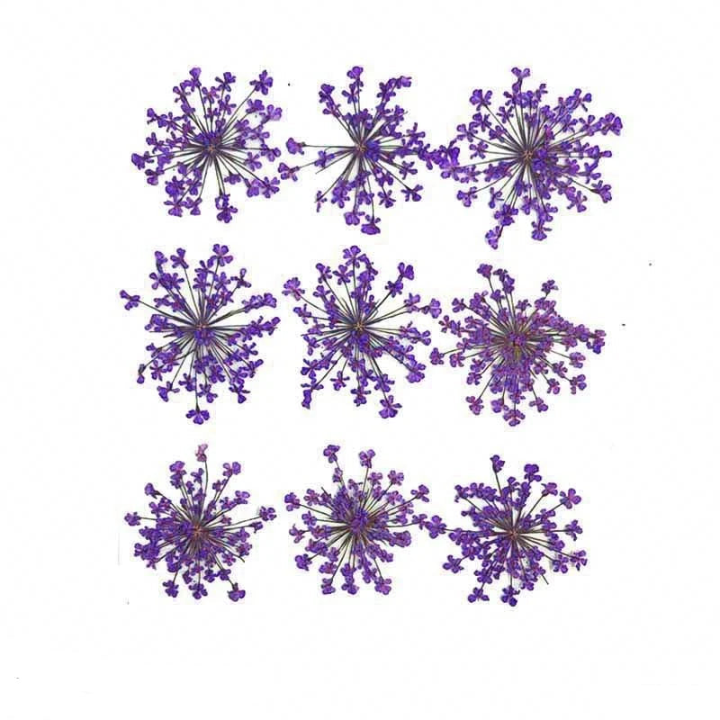 Floral Daisy Flower - Lavendar