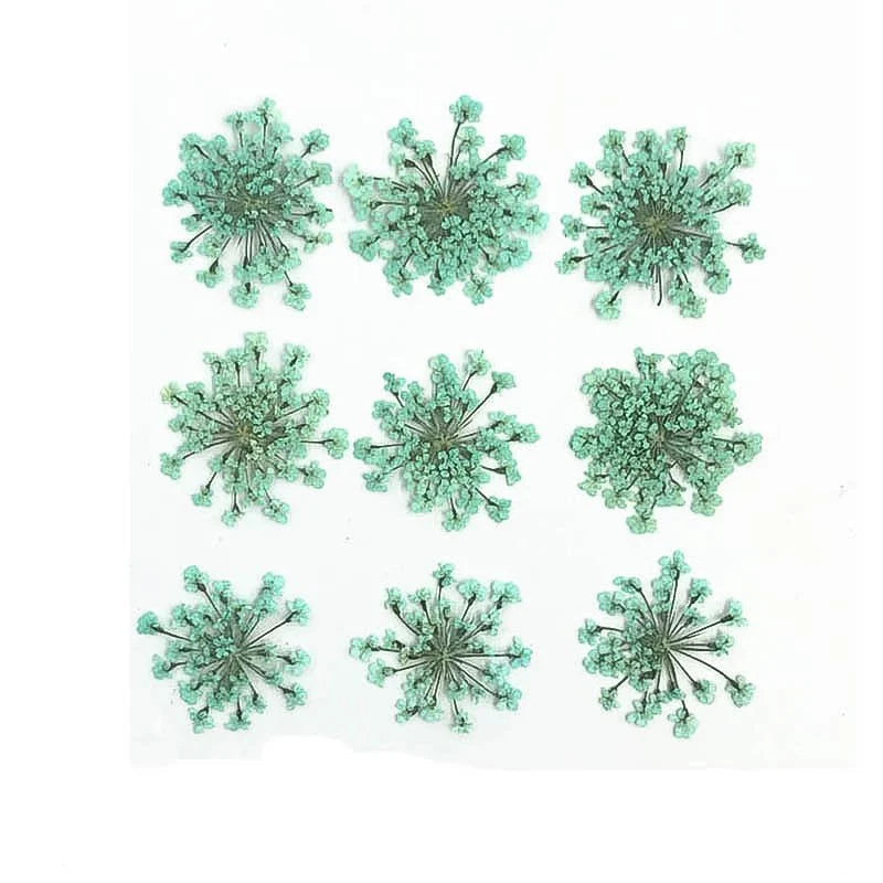 Floral Daisy Flower - Aquamarine