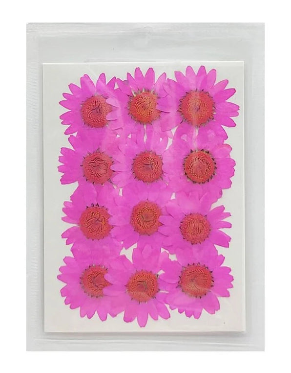 Daisy Flower - Pink
