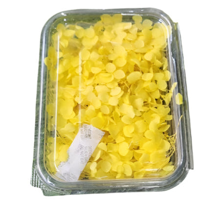 Hydra Flower Box - Yellow