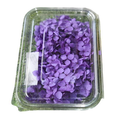 Hydra Flower Box - Navy Blue