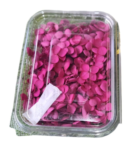 Hydra Flower Box - Pink