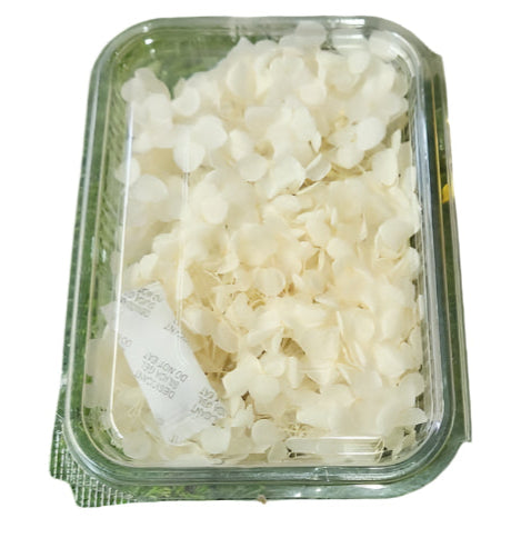 Hydra Flower Box - Off White
