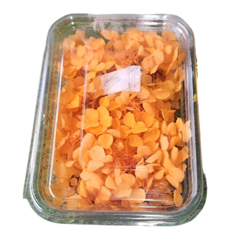 Hydra Flower Box - Orange
