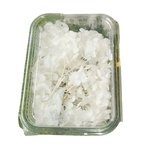 Hydra Flower Box - White