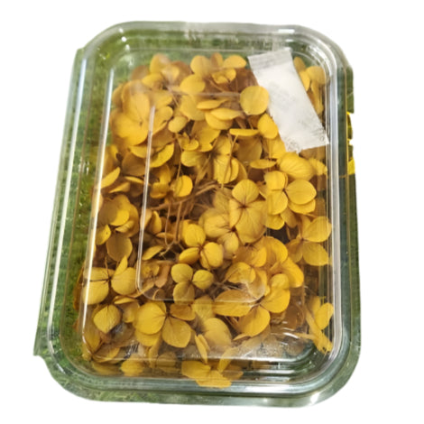 Hydra Flower Box - Mustard Yellow