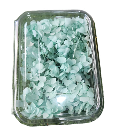 Hydra Flower Box - Sky Blue