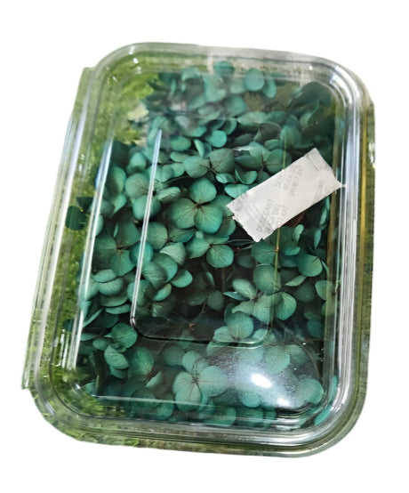 Hydra Flower Box - Dark Green