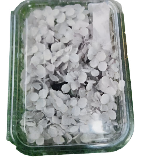 Hydra Flower Box - Grey