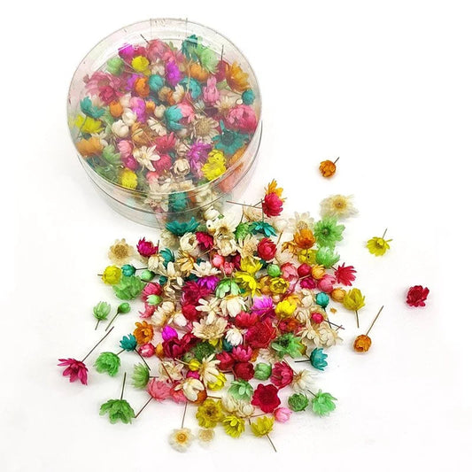 Mini dry Flower Box - Mix