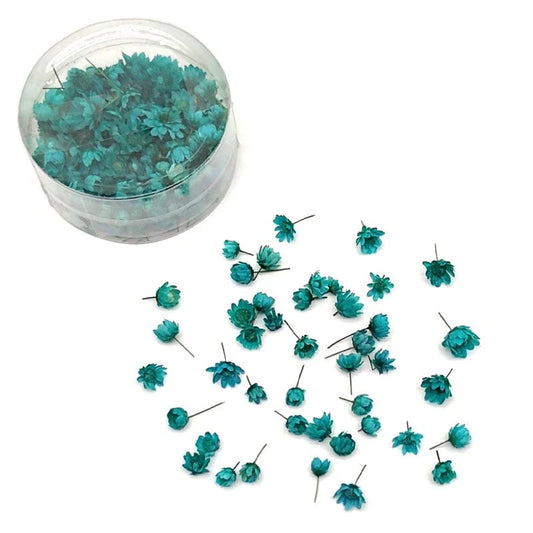 Mini dry Flower Box - Aquamarina