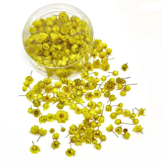 Mini dry Flower Box - Yellow