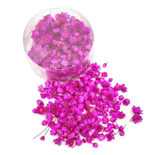 Mini dry Flower Box - Pink