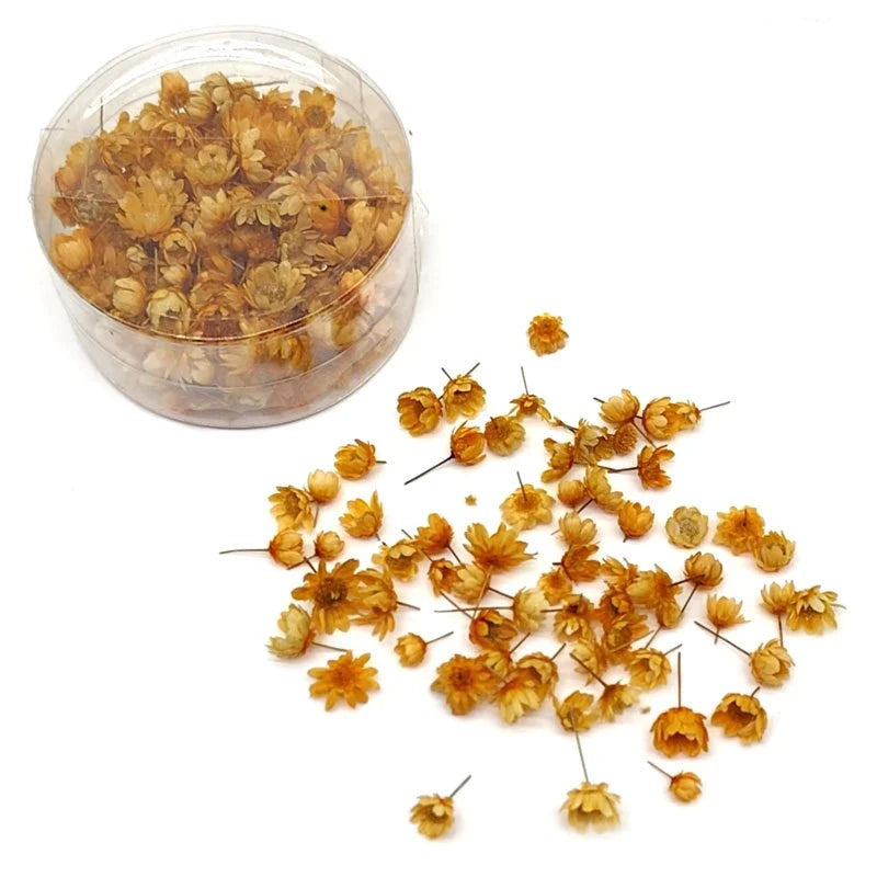 Mini dry Flower Box - Orange