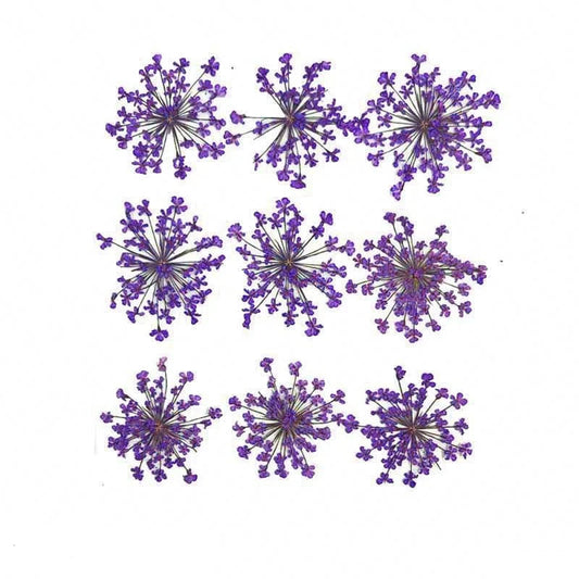 Floral Daisy Flower - Lavendar