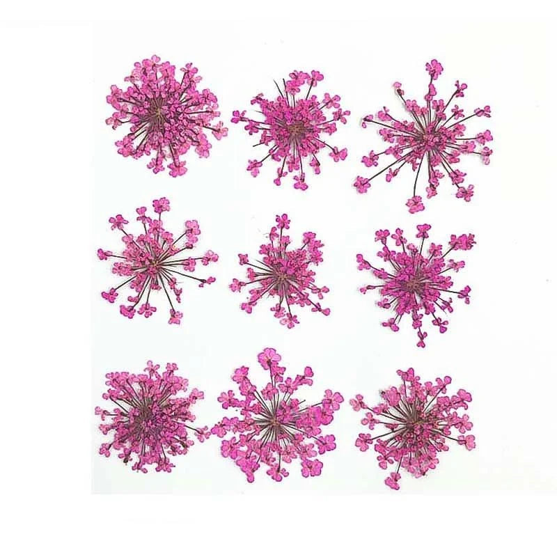 Floral Daisy Flower - Pink