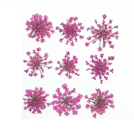 Floral Daisy Flower - Pink