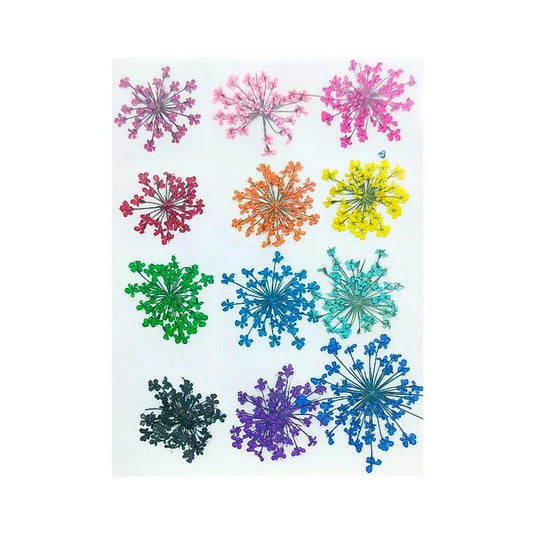 Floral Daisy Flower - Mix