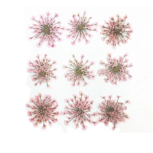 Floral Daisy Flower - Baby Pink
