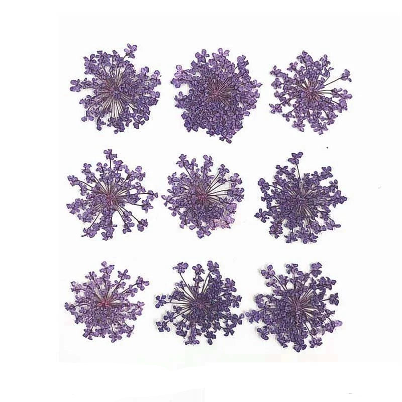 Floral Daisy Flower - Purple