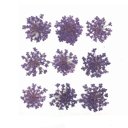 Floral Daisy Flower - Purple