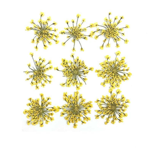 Floral Daisy Flower - Lemon Yellow