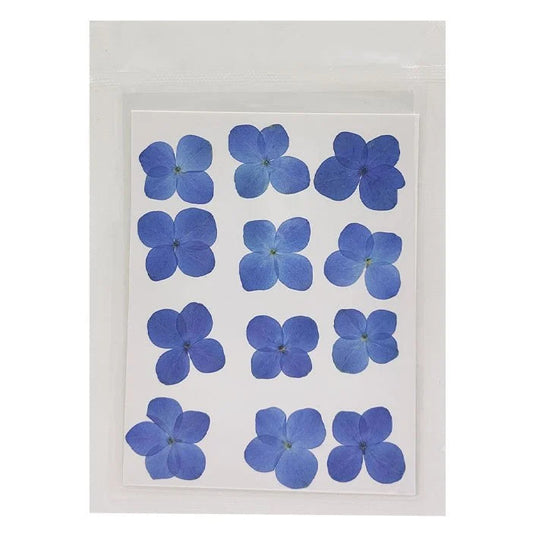 Hydregans Flower - Blue