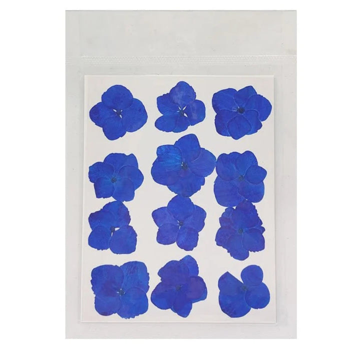 Hydregans Flower - Dark Blue