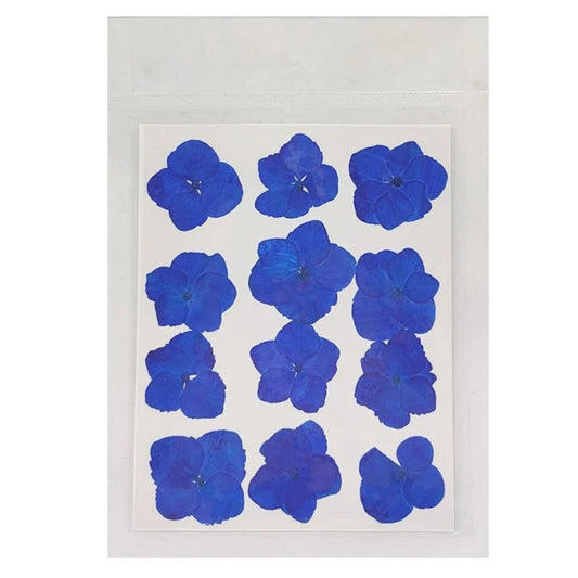 Hydregans Flower - Dark Blue