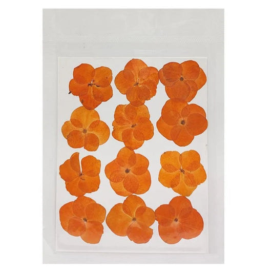 Hydregans Flower - Orange