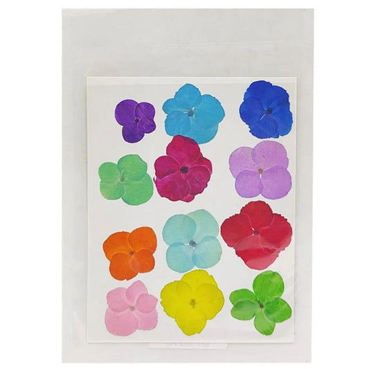 Hydregans Flower - Mix