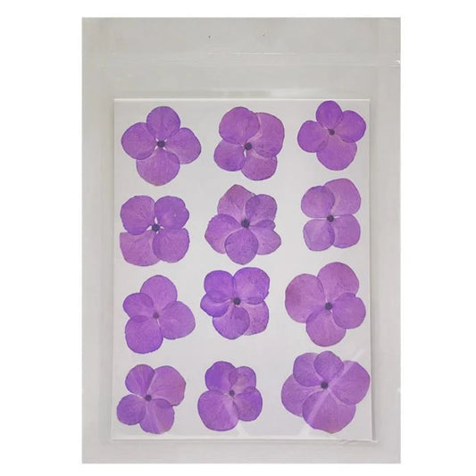 Hydregans Flower - Purple