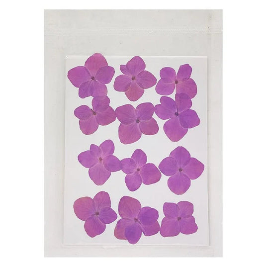 Hydregans Flower - Pinkish