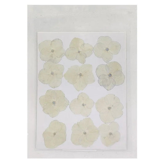 Hydregans Flower - White
