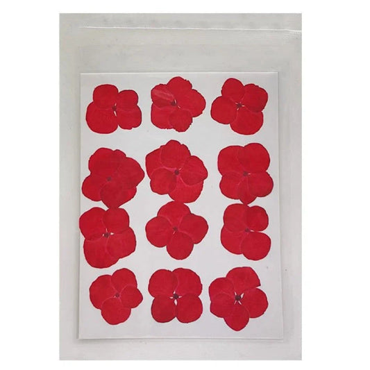 Hydregans Flower - Red