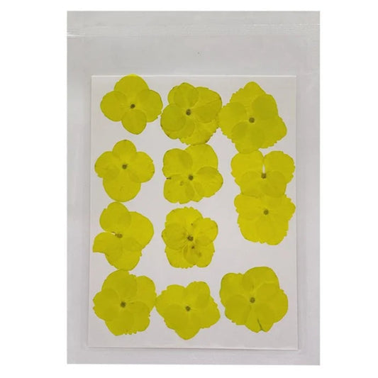 Hydregans Flower - Neon Yellow