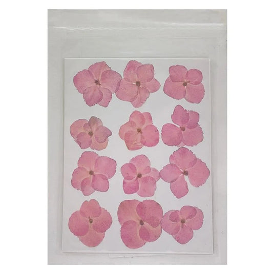 Hydregans Flower - Baby Pink