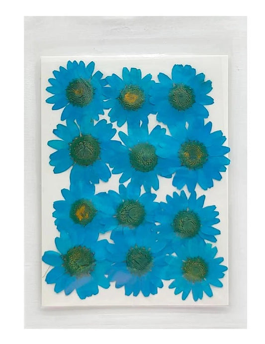 Daisy Flower - Antique Blue