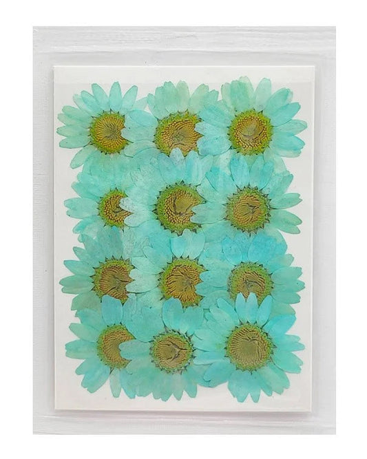 Daisy Flower - Aqua Marine