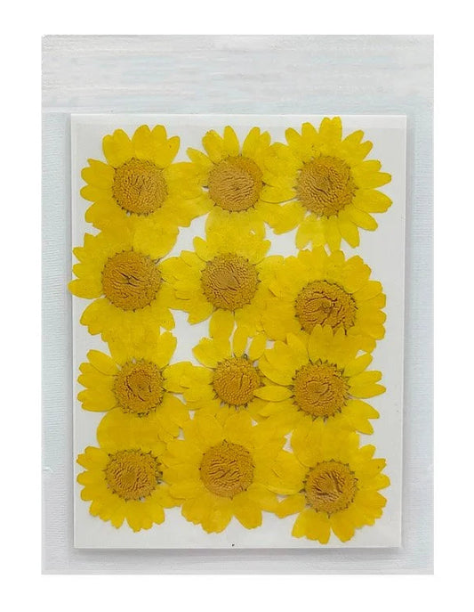 Daisy Flower - Yellow