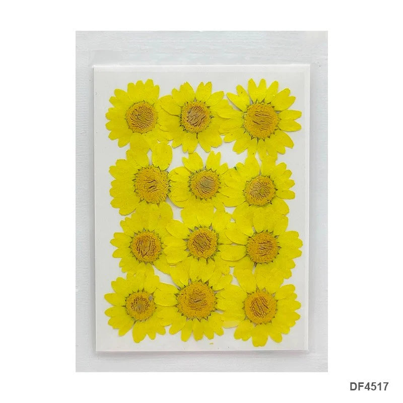 Daisy Flower - Lemon Yellow