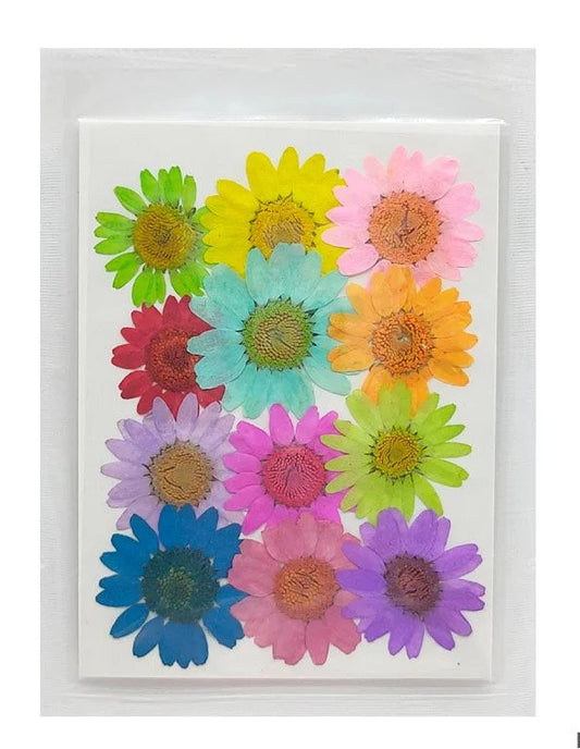 Daisy Flower - Mix