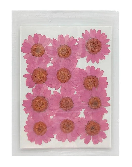 Daisy Flower - Baby Pink