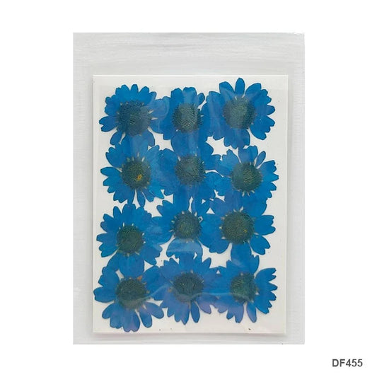 Daisy Flower - Blue