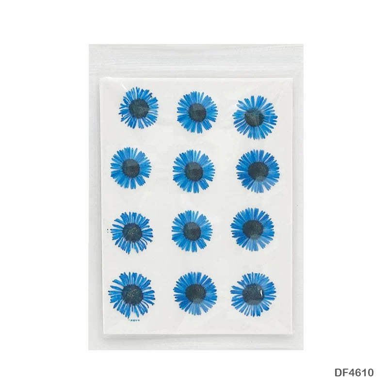 Asters Flower - Dark Blue