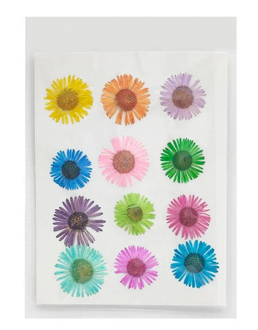 Asters Flower - Mix