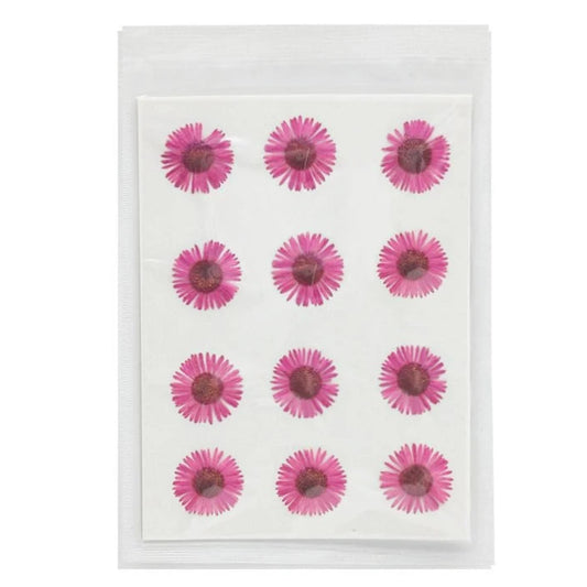Asters Flower - Pink