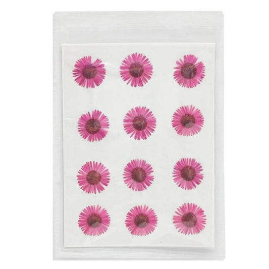 Asters Flower - Dark Pink