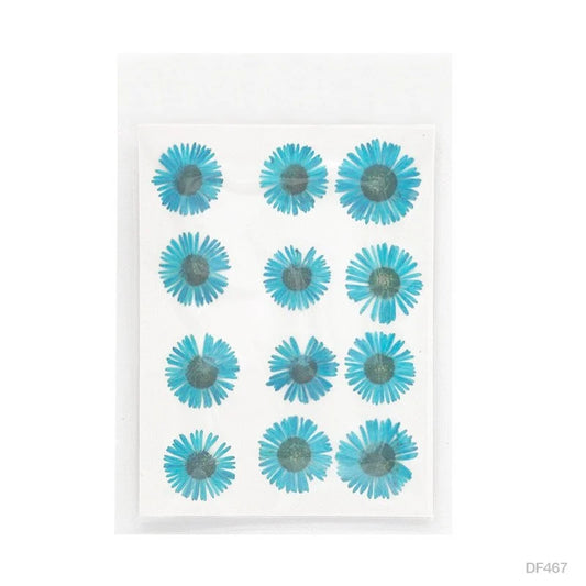 Asters Flower - Blue