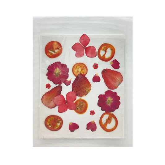 Pressed Fruit Flower [D]